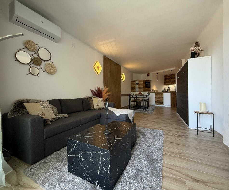 Salon/Pièce de vie 